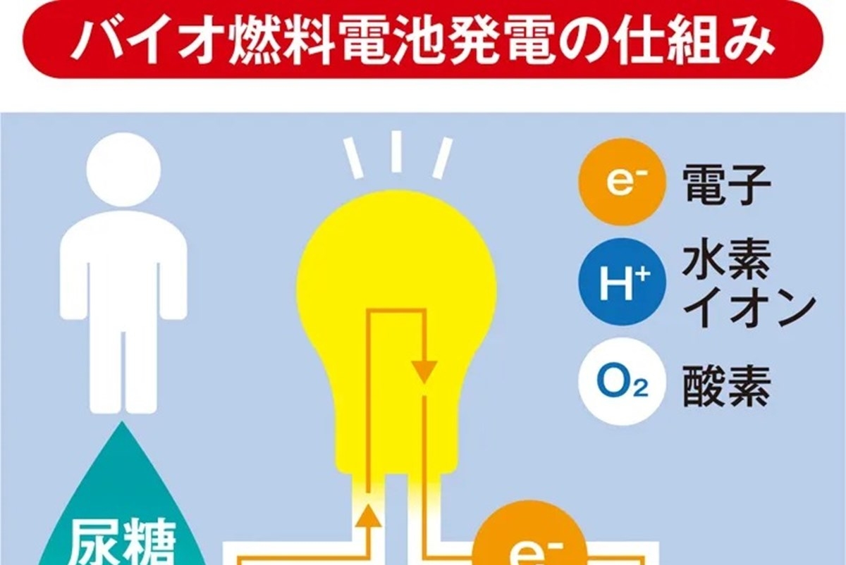 汗や尿から発電する和紙製バイオ燃料電池の研究進む 医療・介護で実用化想定 | マネーポストWEB