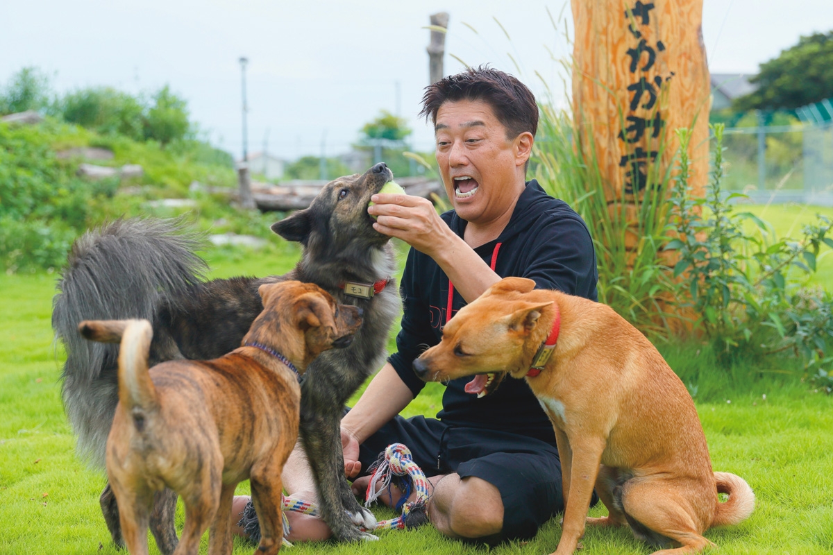 坂上忍が取り組む動物保護活動 私財3億2000万円を投じて「持続可能な