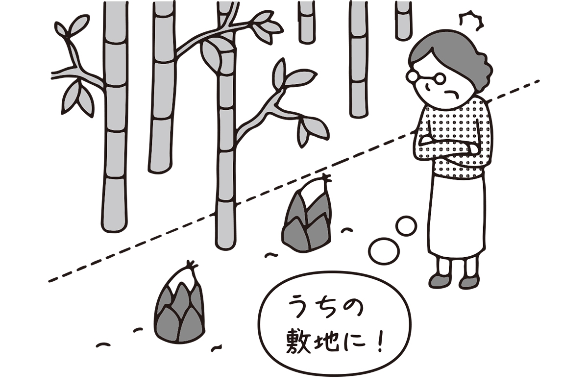 空き家の実家の庭に 隣家の竹の根 が侵入 除去は誰がすべき 弁護士が解説 マネーポストweb