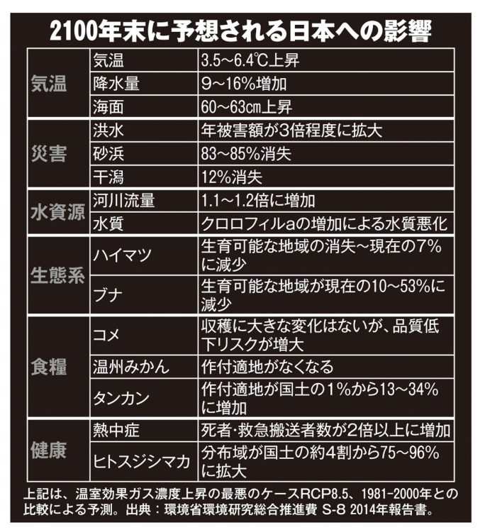 2100年末に予想される日本への影響