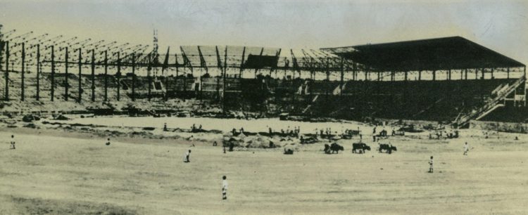 竣工間近の甲子園。牛を使ってグラウンド整備をしていた（画像提供／阪神電気鉄道株式会社）