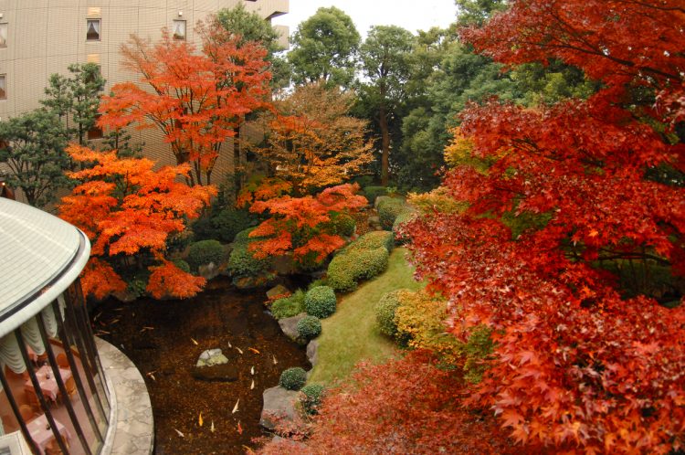 秋には紅葉の景色が広がる