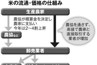 【米の価格が上がったカラクリ】「在庫量だけ見れば米不足が起こるとは考えにくかった」のになぜ？　気づいた頃には遅かった「くず米」の収穫量激減