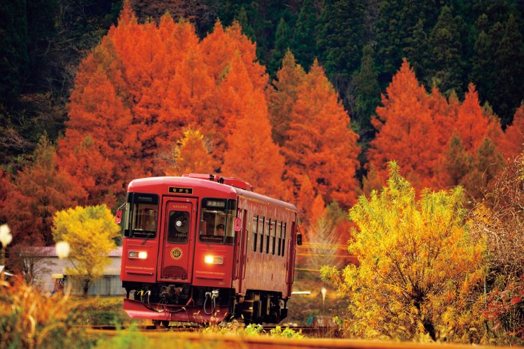 岐阜県　観光列車「ながら」／長良川鉄道