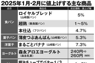 【「ブラックフライデー」が最大の狙い目】“2025年1・2月の値上げリスト”を見据えて年内にまとめ買いしたい商品　パックご飯、冷凍食品、お酒などの一覧