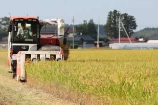 農業が「苦労の割に儲からない仕事」となっているワケ　農産物の適正 な価格形成と消費者支援のために検討すべき“食料品を消費税の対象から除外”