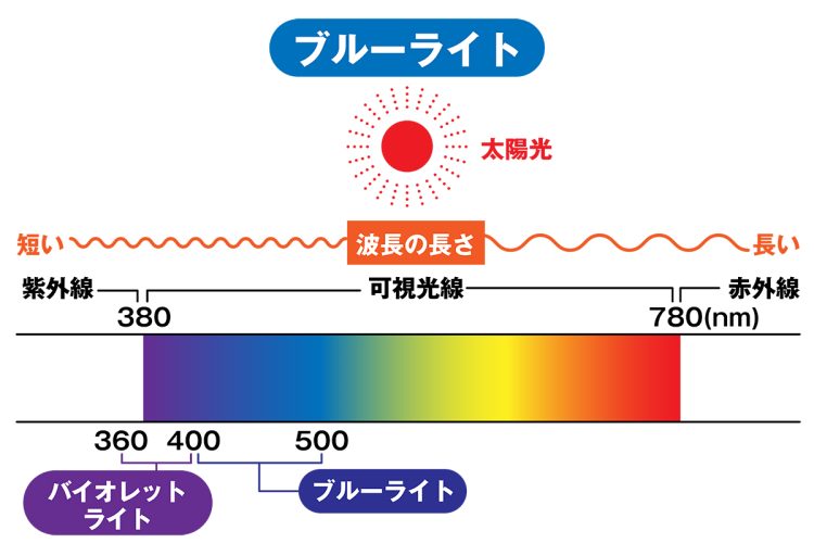 目の網膜にあるメラノプシン細胞のピーク波長は493nm