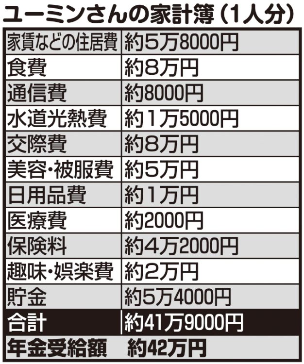 ユーミンさんの家計簿（1人分）