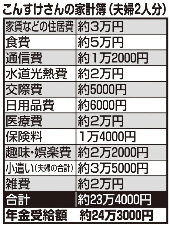 こんすけさんの家計簿（1人分）