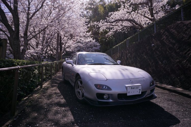 桜や秋桜など季節の花を求めて息子さんと一緒に出掛けたドライブ。“花と一緒のショット”も数多くあるという